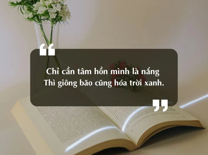 Cap hay đăng TikTok hài hước