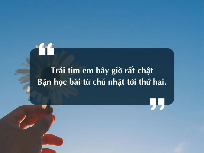 Cap hay đăng TikTok độc đáo