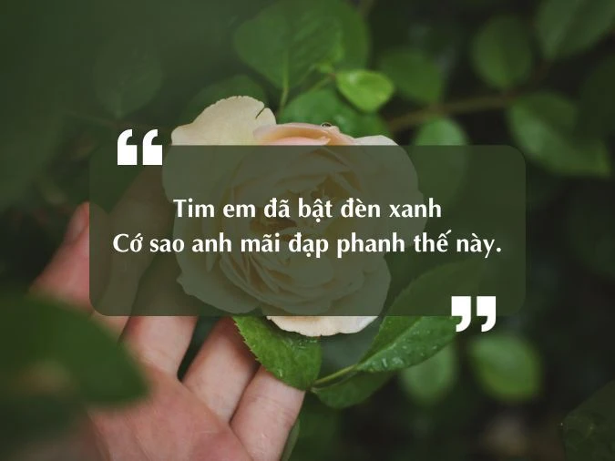 Cap hay đăng TikTok vui nhộn