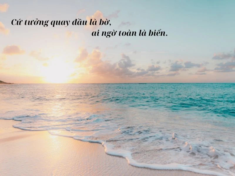 Chụp ảnh bên bờ biển