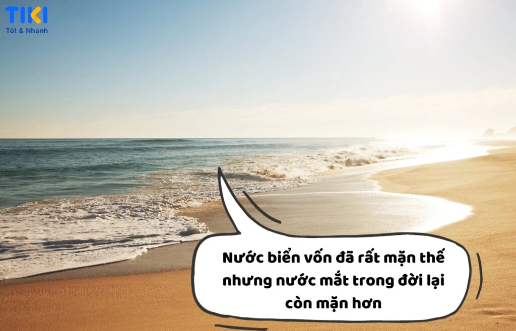 Câu nói hay về biển