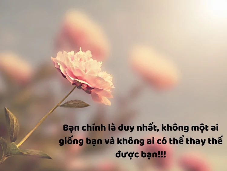 Cuộc Sống Tươi Đẹp