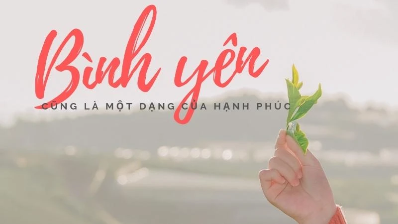 Đi dạo giữa thiên nhiên để tìm kiếm sự bình yên
