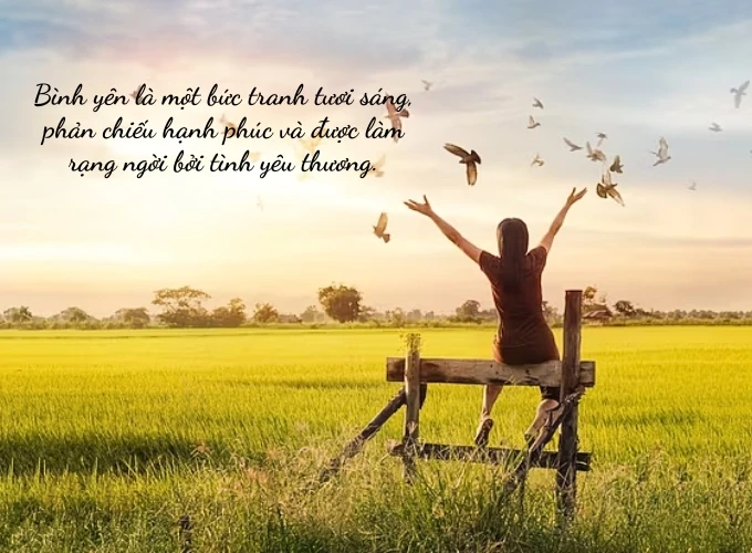 Bình yên trong cuộc sống