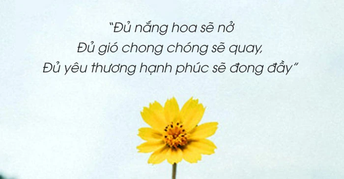 Câu nói hay về hoa