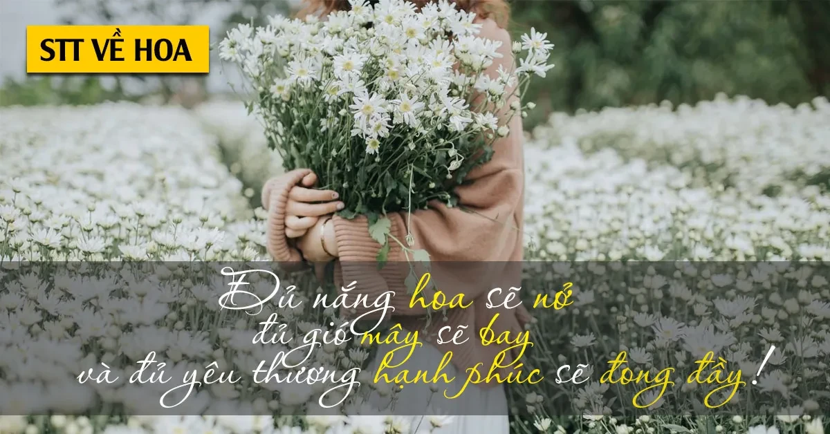 Câu nói hay về hoa