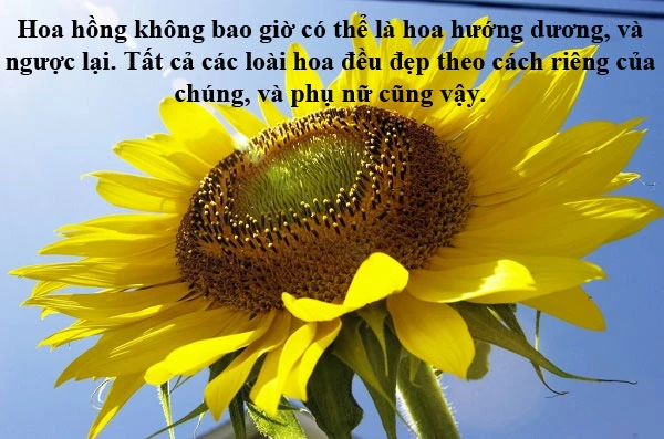 Câu nói hay về hoa