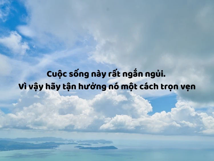 Hài hước trong cuộc sống