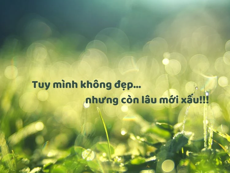 Những điều nhỏ nhặt trong cuộc sống