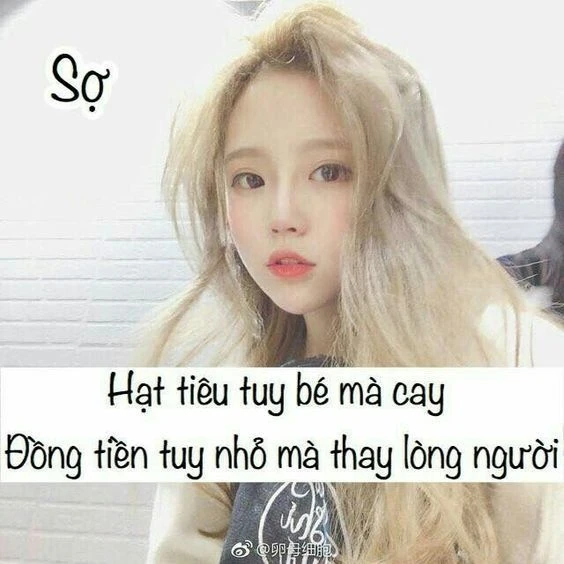 Câu nói thâm thúy