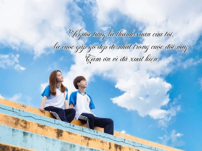 Tình bạn tri kỷ