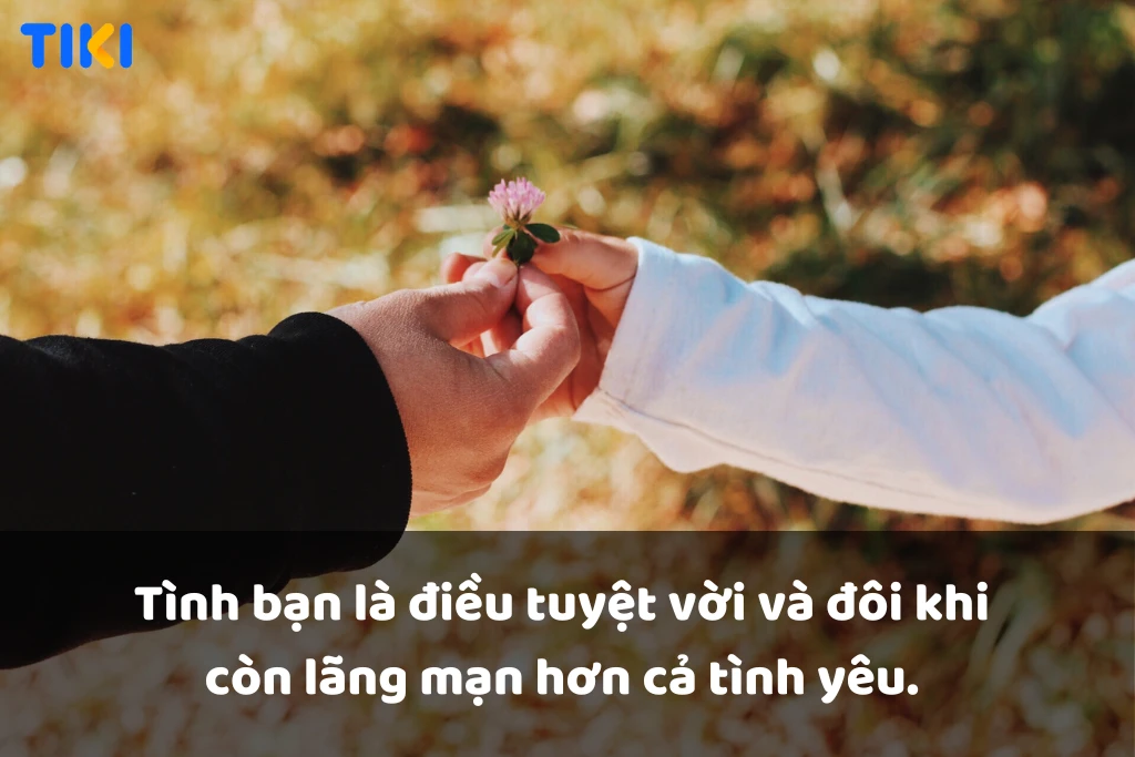 Tình bạn thú vị