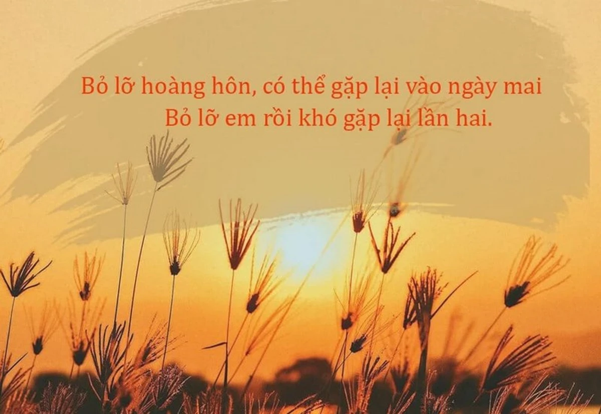 Hoàng hôn tuyệt đẹp