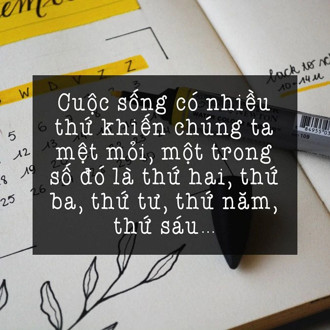 Những câu nói hài hước