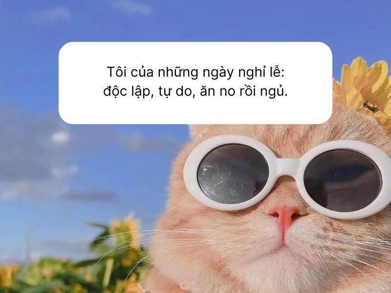 Cap nghỉ lễ hài hước