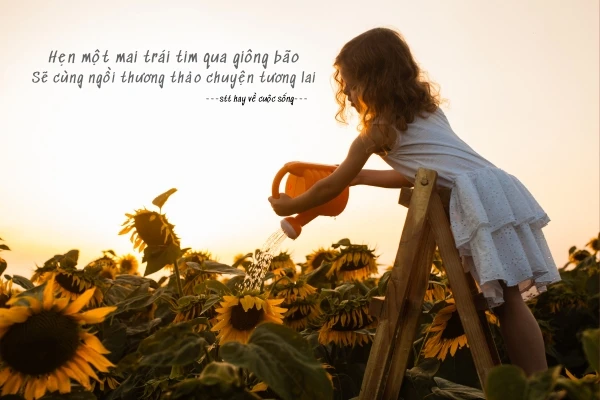 Status hài hước về cuộc sống