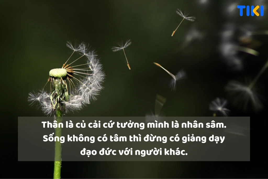 Caption hay về cuộc sống chất