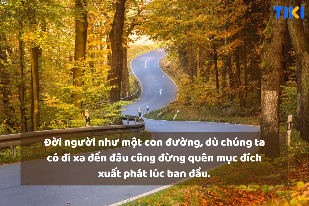 Caption hay về cuộc sống trưởng thành