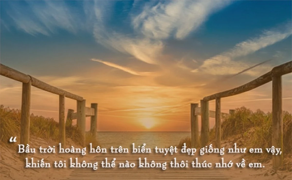 Cảm xúc hoàng hôn