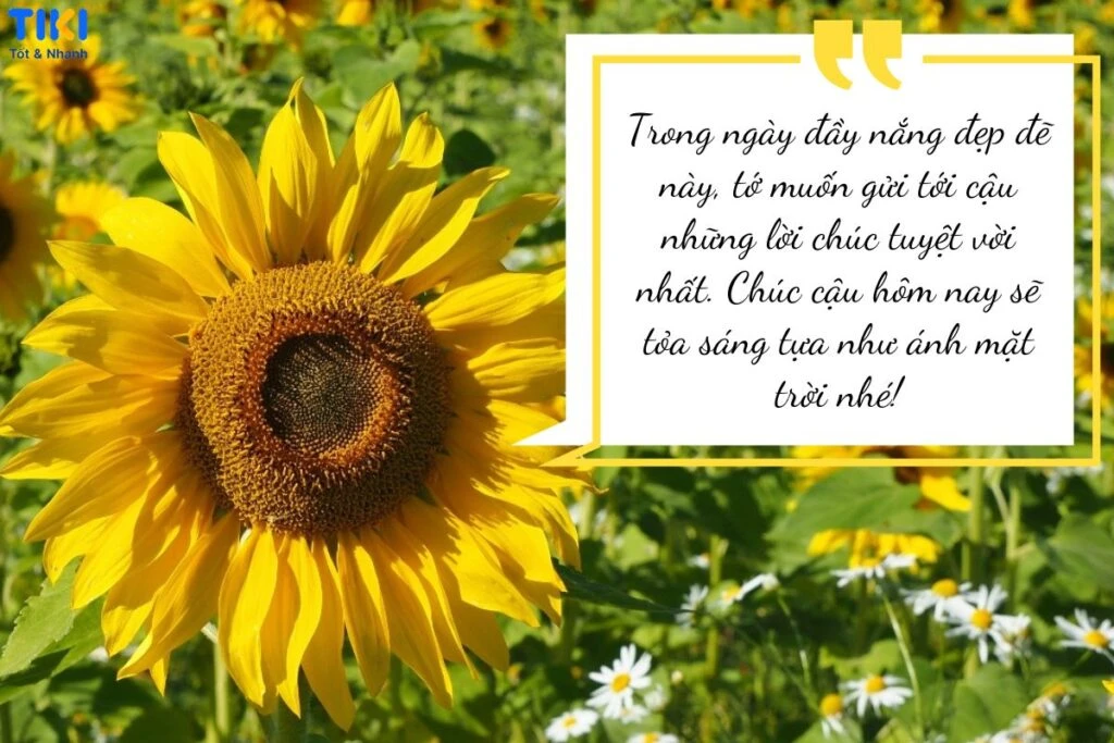 Lời chúc ngày mới an lành, hạnh phúc