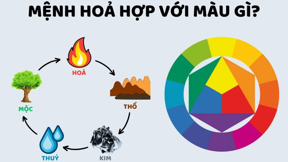 2008 là năm con gì? Sinh năm 2008 hợp tuổi gì, màu gì?