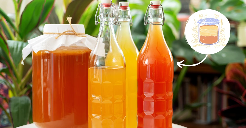 Bật mí cách uống Kombucha giảm cân hiệu quả nhất nên áp dụng ngay