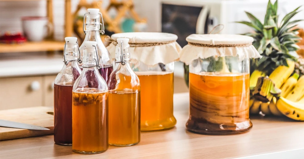 Bật mí cách uống Kombucha giảm cân hiệu quả nhất nên áp dụng ngay