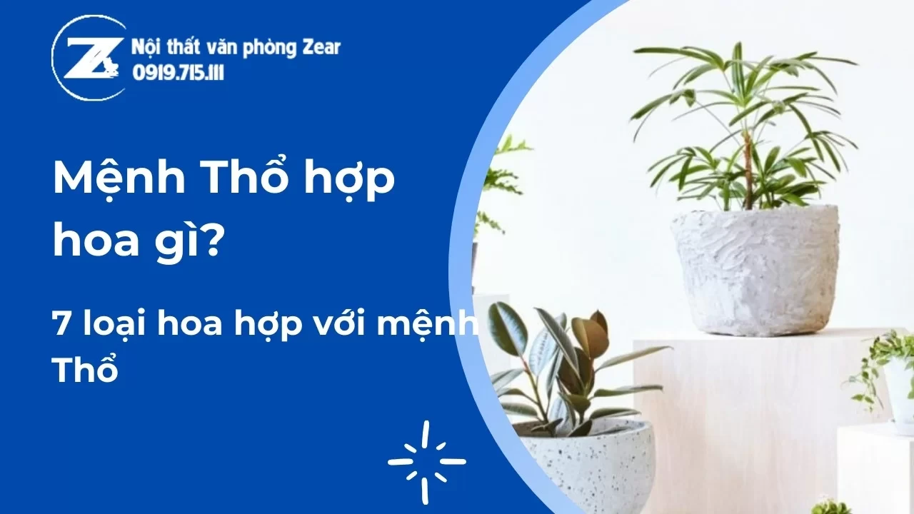 Mệnh Thổ hợp hoa gì để phát triển tài lộc?