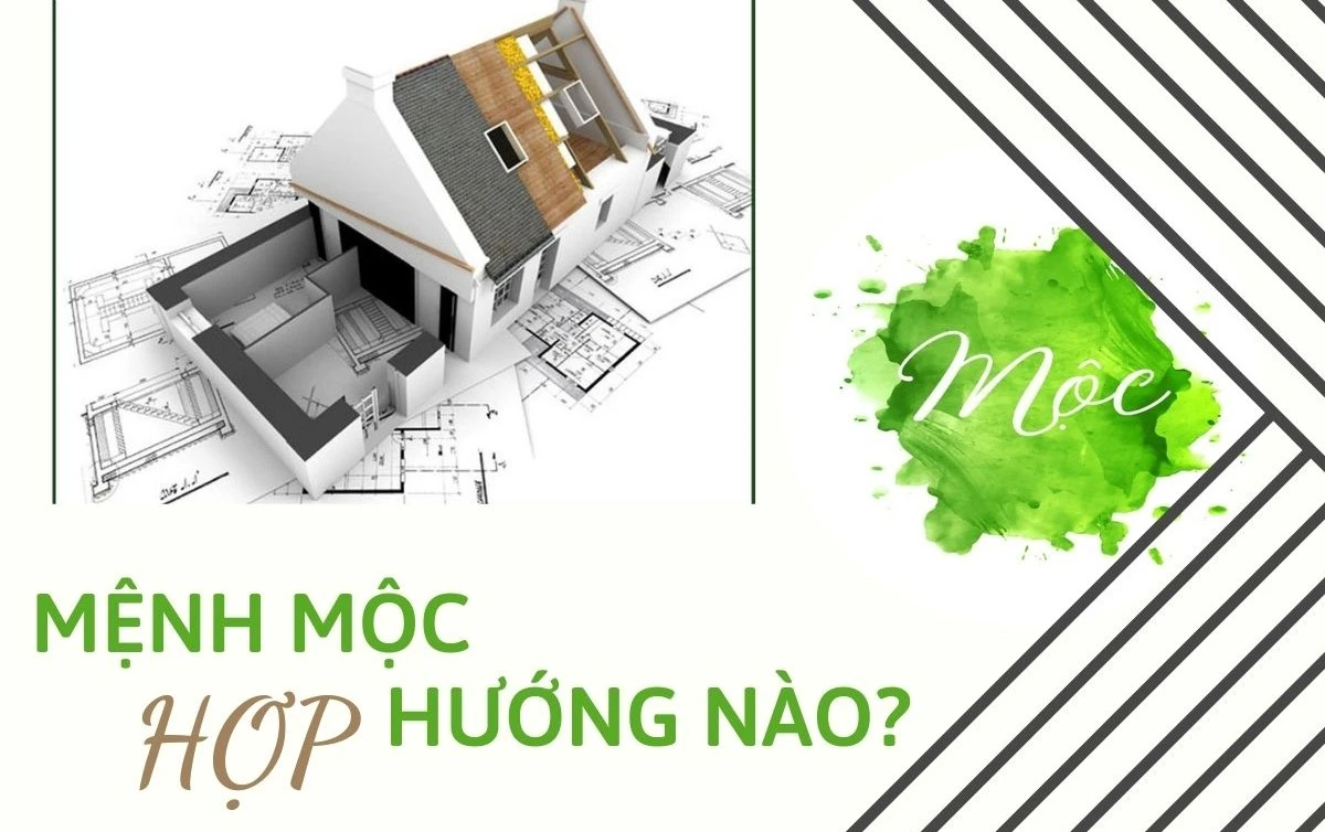 Mệnh Mộc hợp hướng nào để phát triển và thịnh vượng