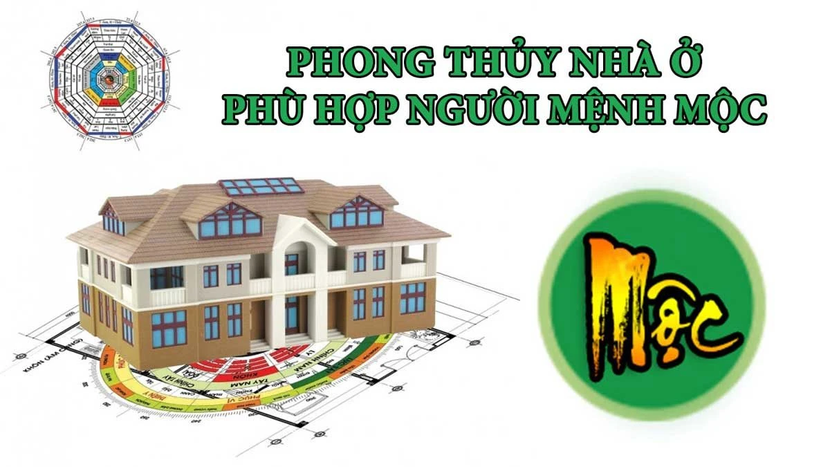 Mệnh Mộc hợp hướng nào? 2 hướng đại kỵ của người hành Mộc