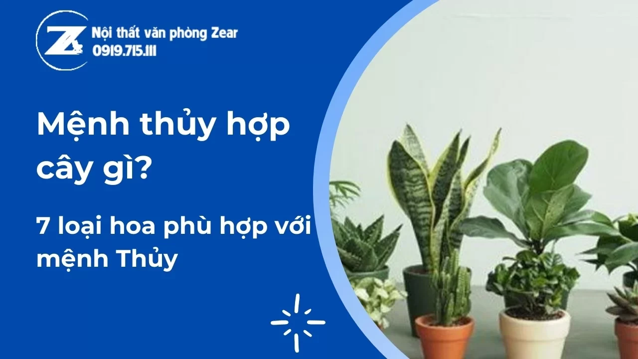 Mệnh Thủy hợp mệnh Kim: Cùng nhau phát triển