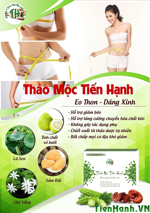 Giảm cân tiến hành hiệu quả với thảo mộc tự nhiên