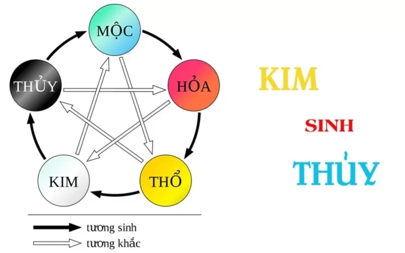 Mệnh thủy hợp cây gì? 7 loại hoa phù hợp với mệnh Thủy