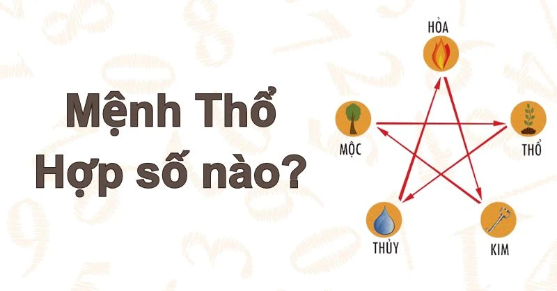 Mệnh Thổ hợp số nào để thăng tiến trong cuộc sống?