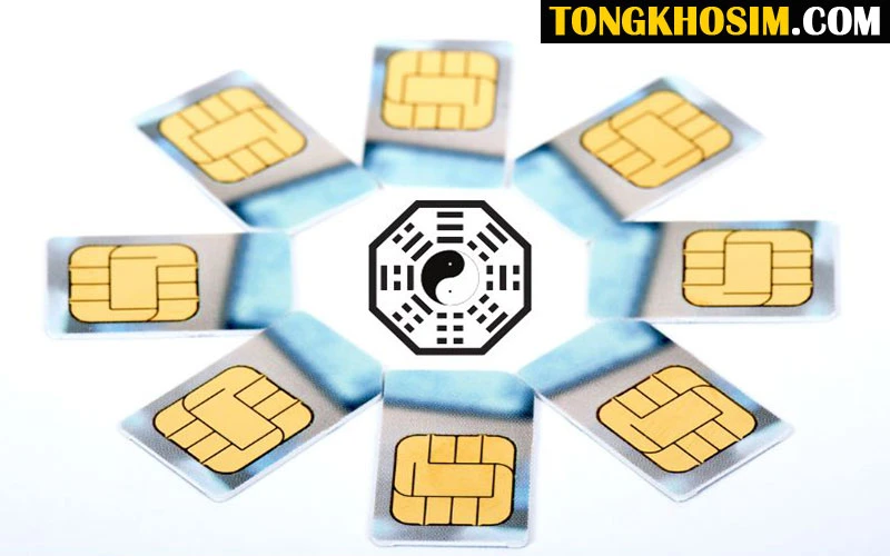 SIM Phong Thủy - Công cụ tìm Sim Hợp Tuổi, Hợp Mệnh