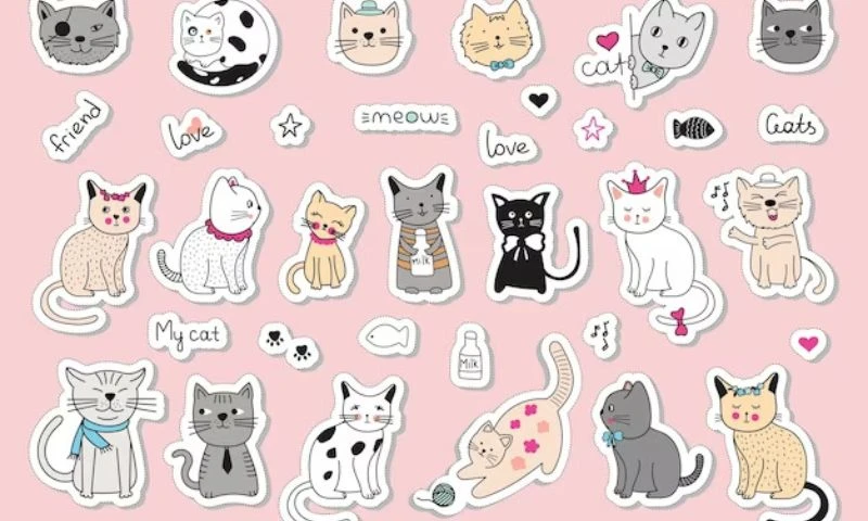 20 Mẫu sticker mèo cute dễ thương được yêu thích 2024