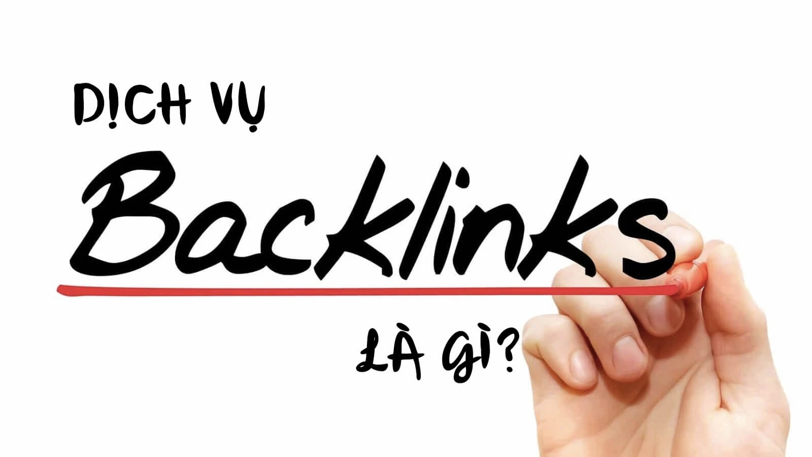 Tăng cường SEO với dịch vụ backlink chất lượng