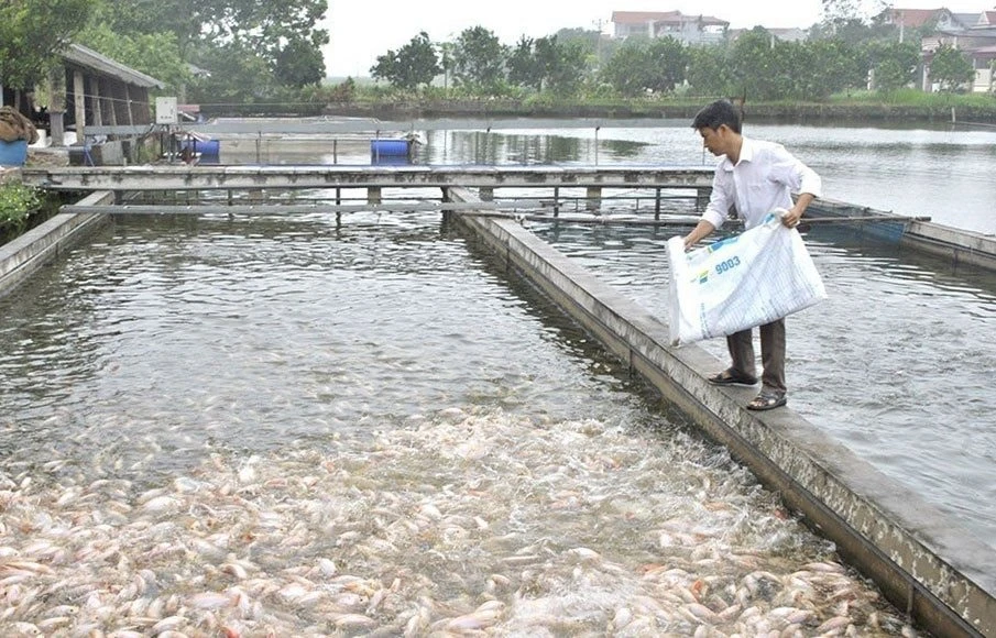 Mục đích chính của chuyển đổi cơ cấu mùa vụ và cây trồng