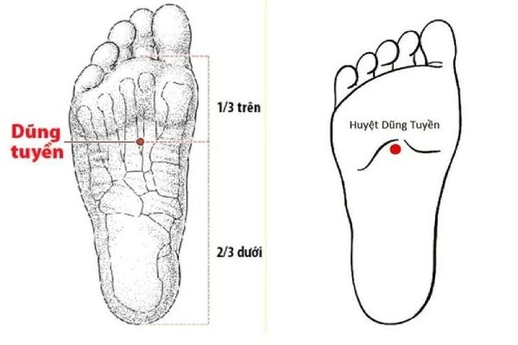 Khám Phá Huyệt Dũng Tuyền: Vị Trí và Công Dụng