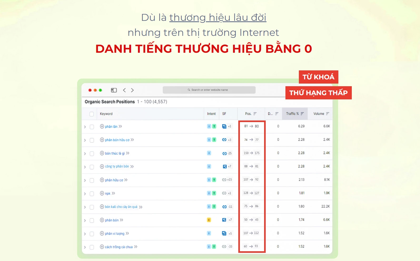 DỊCH VỤ SEO TỔNG THỂ